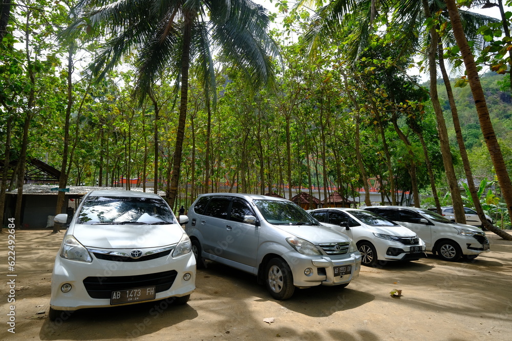 Car Rentals